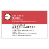 ロゴ入カラー名刺 レイアウトNCL011 10枚〜